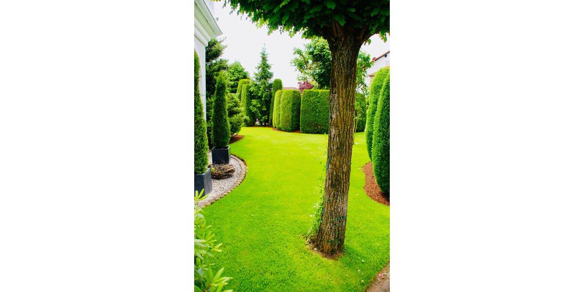 Villa Queidersbach - 12 Zimmer, 350 m&sup2;, 869.000&euro; | Angebot:26838502