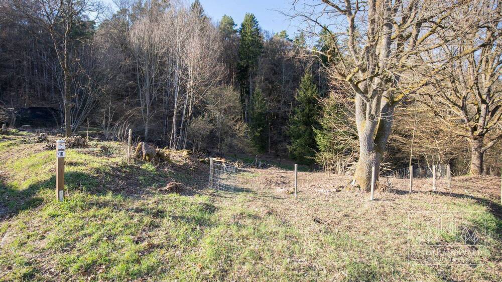 Grundstück Elmstein Schafhof - 165.000&euro; | Angebot:26155236