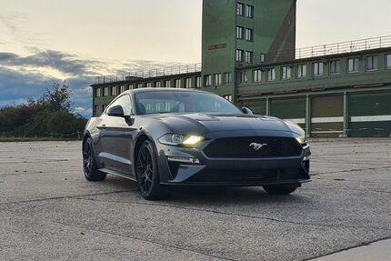 Ford Mustang 48.500 km 31.000 &euro; Otterberg 67697