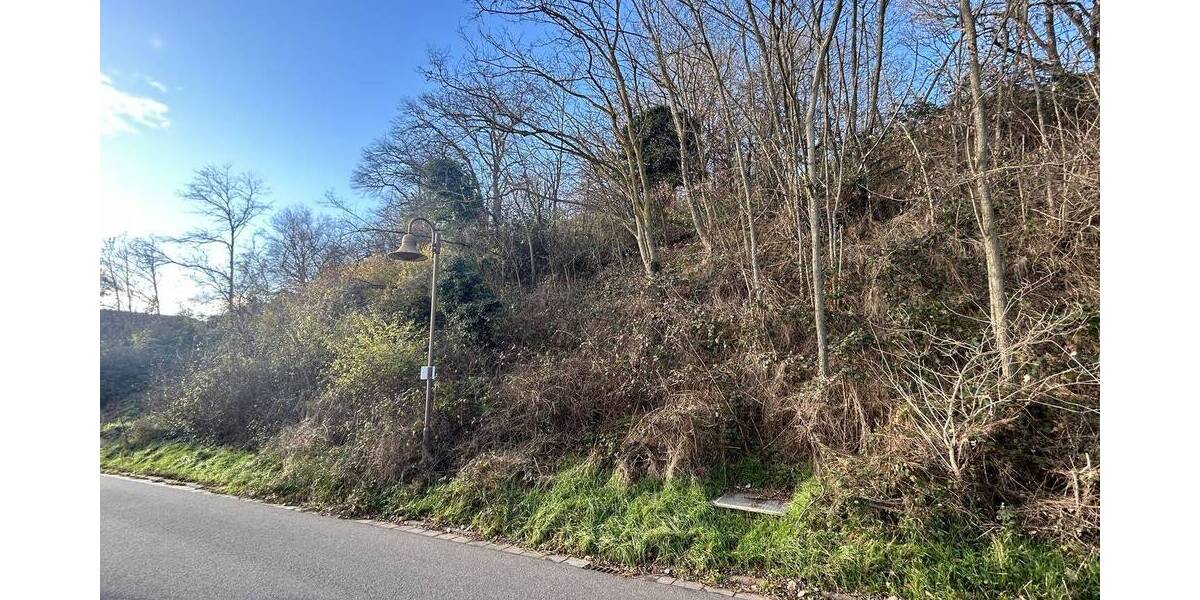 Grundstück Eisenberg (Pfalz) / Stauf Stauf - 199.000&euro; | Angebot:25684594