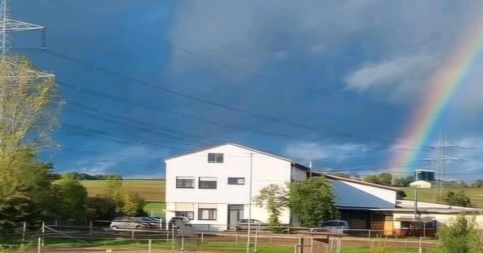 Etagenwohnung Rodenbach - 3 Zimmer, 73 m&sup2;, 690&euro; | Angebot:24945432