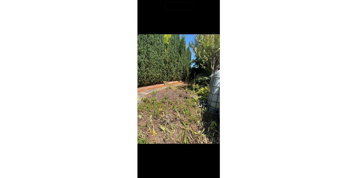 Erdgeschoßwohnung Mehlbach - 4 Zimmer, 161 m&sup2;, 1.300&euro; | Angebot:26300464