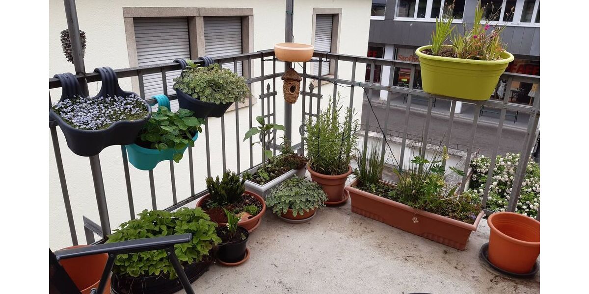 Gehobene Altbauwohnung mit großem Balkon ca. 150qm - Wohnraum oder gewerblichen Nutzung möglich - Appartement Neustadt | Angebot:26634102
