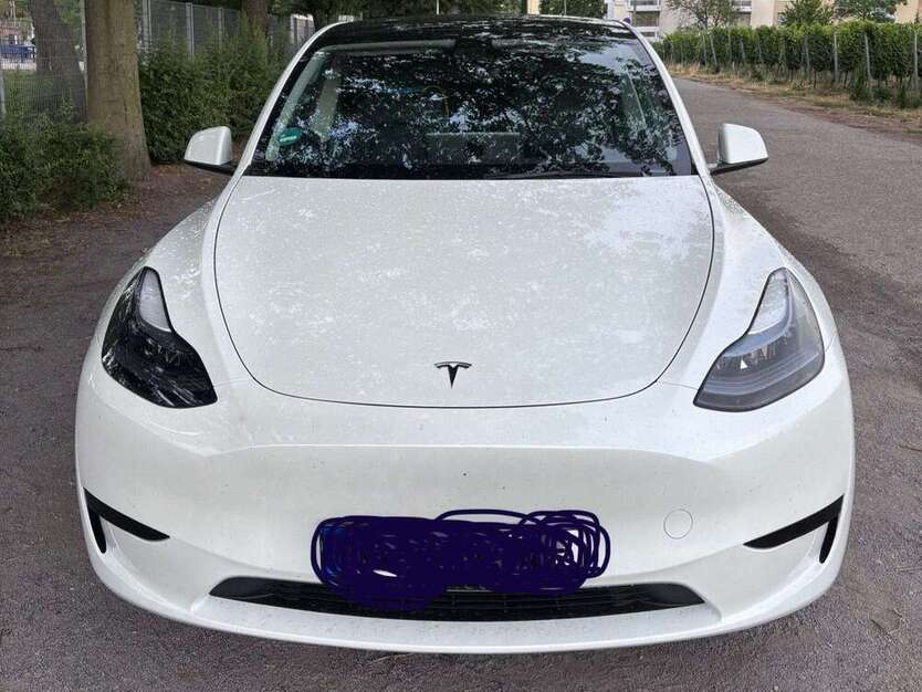 Model Y