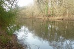 Teichanwesen mitten im Wald Südwestpfalz