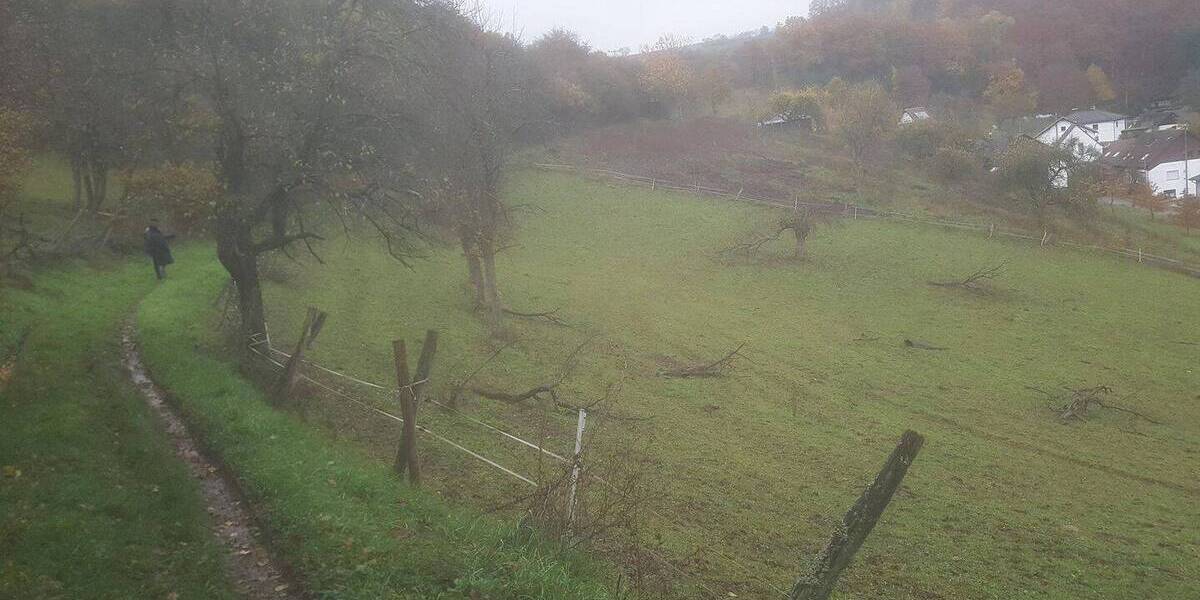 Grundstück Ulmet - 90.000&euro; | Angebot:26015833