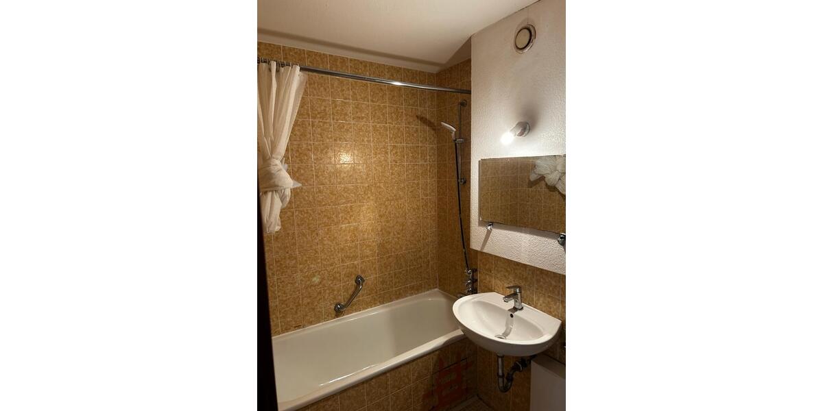 Etagenwohnung Kaiserslautern Betzenberg - 1 Zimmer, 55 m&sup2;, 550&euro; | Angebot:26237350