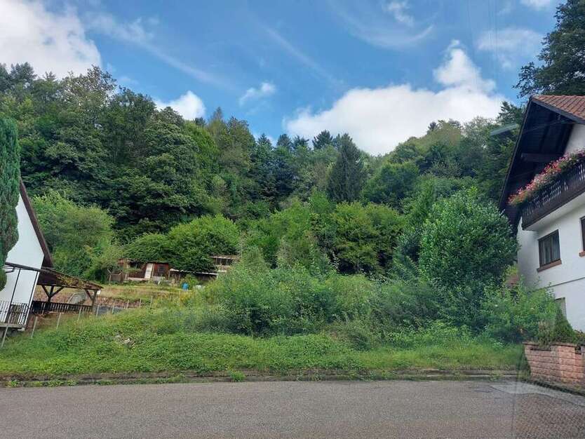 Grundstück zu verkaufen in Pirmasens 45.000 € 767 m²
