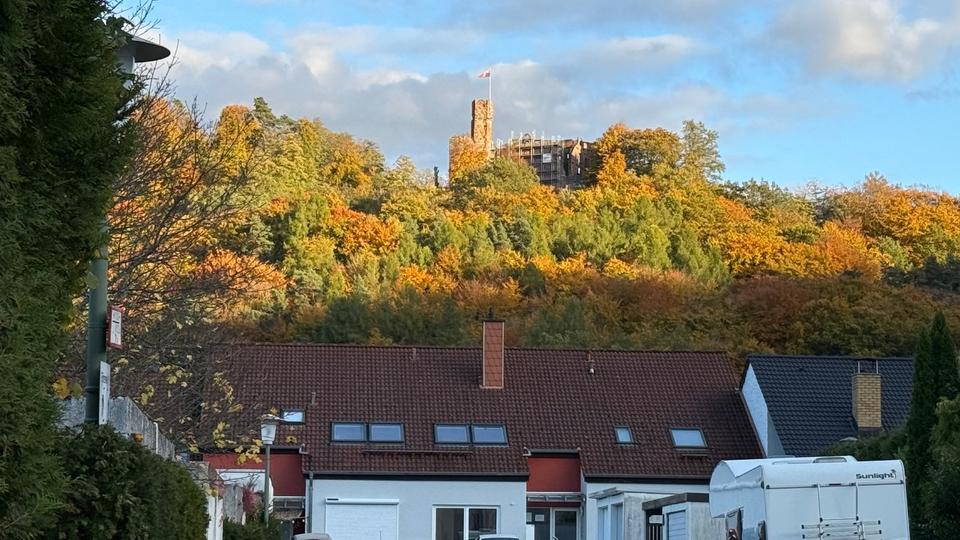 Erdgeschoßwohnung Kaiserslautern - 1 Zimmer, 22 m&sup2;, 600&euro; | Angebot:25365651