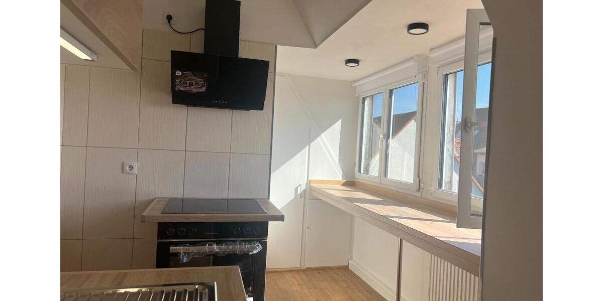 Dachgeschoss Wohnung in Neustadt an der Weinstraße 1.5 zimmer