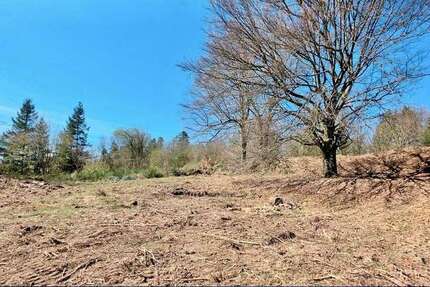 Grundstück Trippstadt - 220.000&euro; | Angebot:25044033