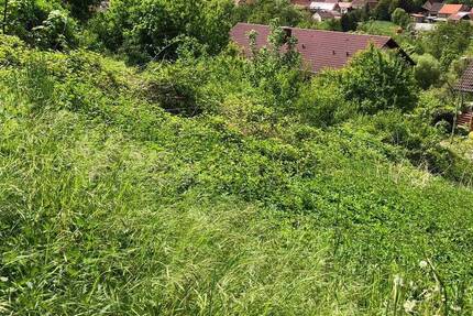 Unbebautes Grundstück in Imsweiler! Ideal für eine Wohnbebauung oder eine Investition! zimmer