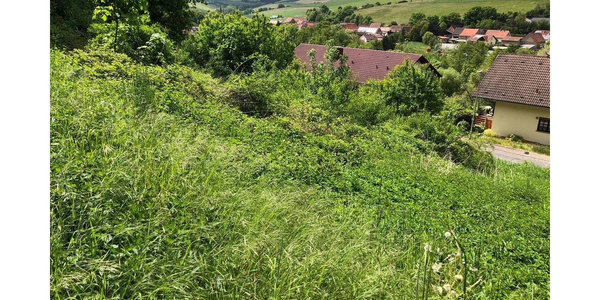 Unbebautes Grundstück in Imsweiler! Ideal für eine Wohnbebauung oder eine Investition! zimmer