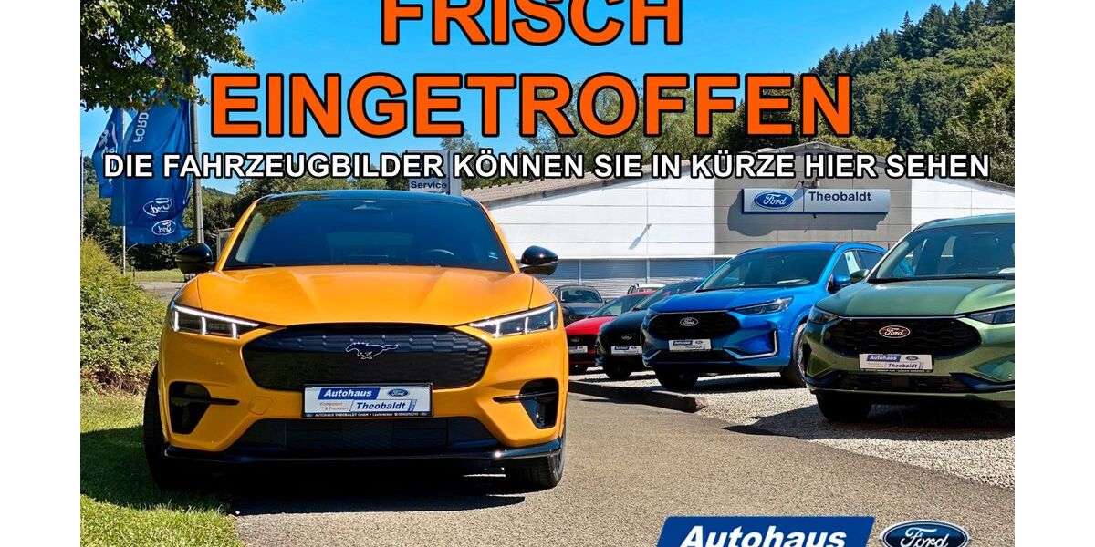 Ford Transit Custom 24.100 km 30.990 € Lauterecken 67742