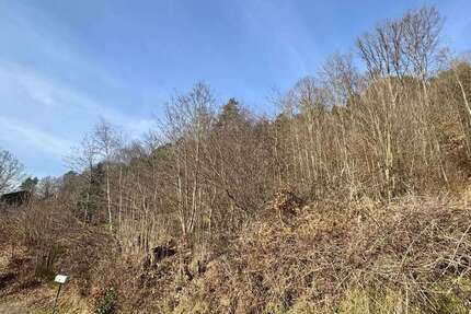 Grundstück zu verkaufen in Kaiserslautern 99.000 € 972 m² zimmer