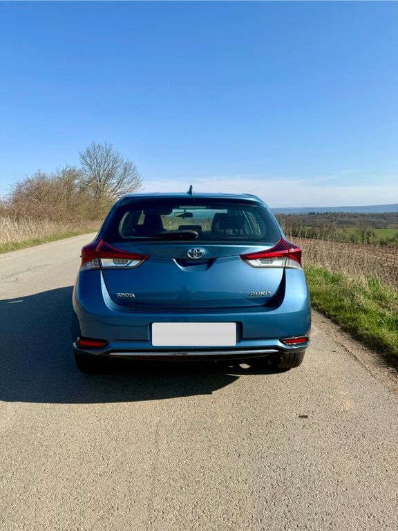 Auris