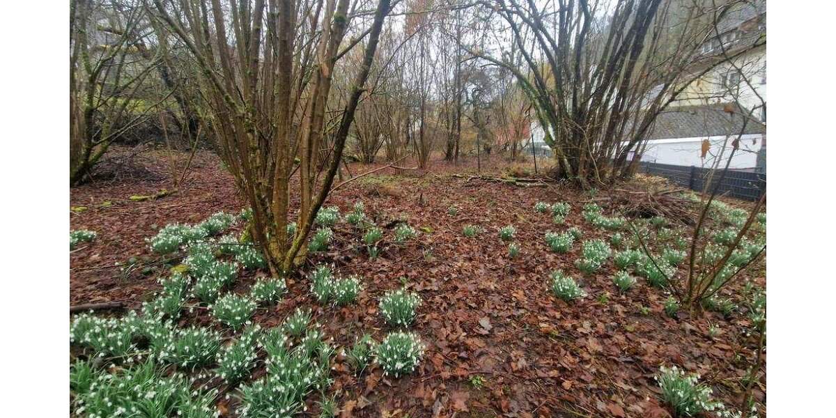 Grundstück Pirmasens Erlenbrunn - 115.000&euro; | Angebot:25745677