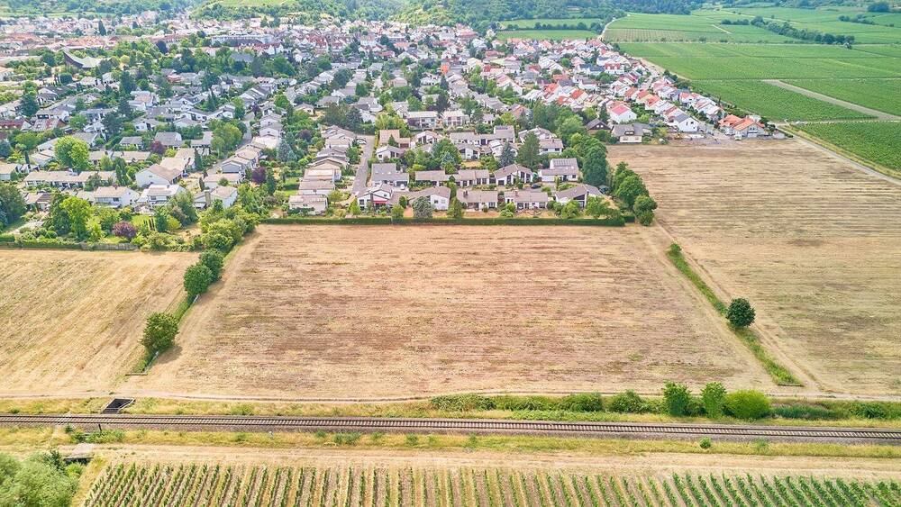 Neubaugebiet ,,Am Schwabenbach - 8 attraktive Grundstücke in Wachenheim! zimmer