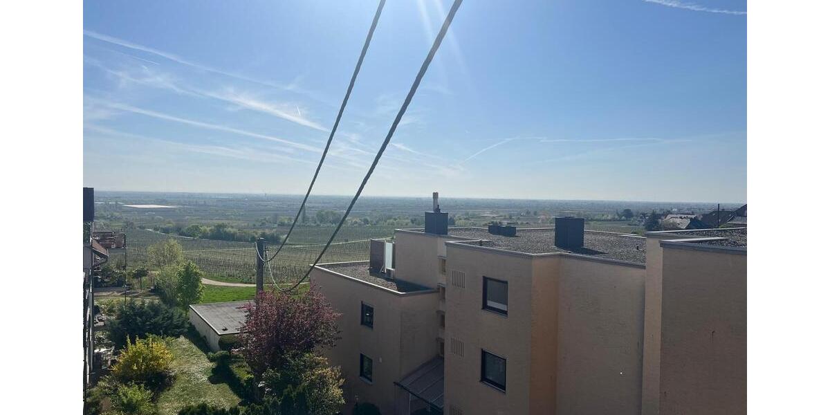 Dachgeschoss Wohnung in Neustadt an der Weinstraße 1.5 zimmer