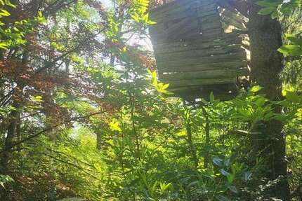 Grundstück Trippstadt - 130.000&euro; | Angebot:23560011