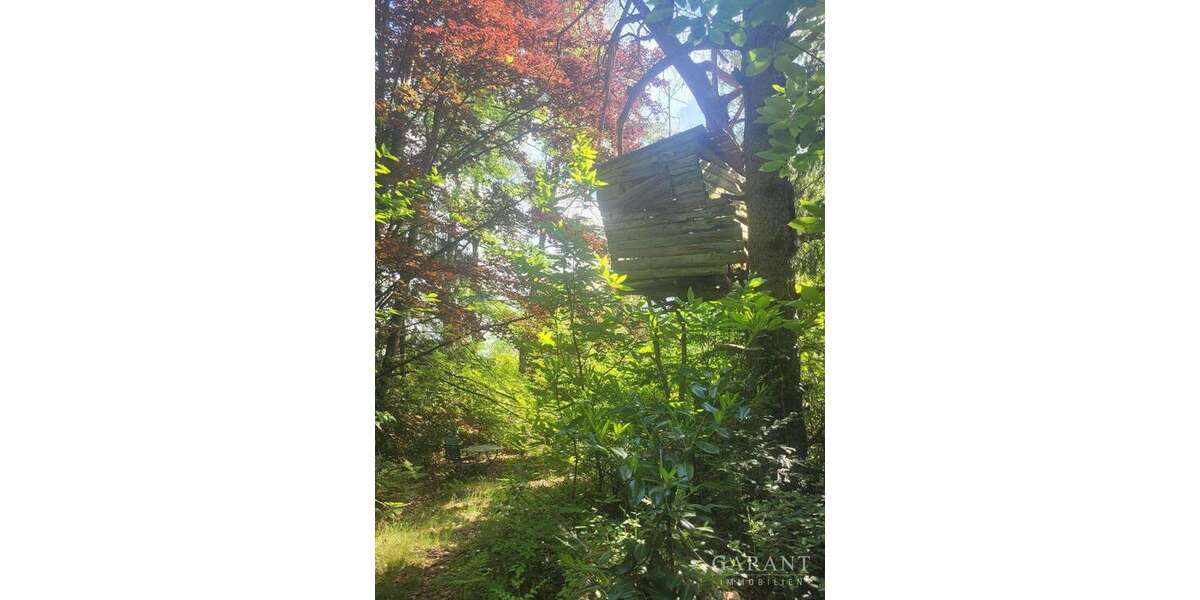 Grundstück Trippstadt - 130.000&euro; | Angebot:23560011