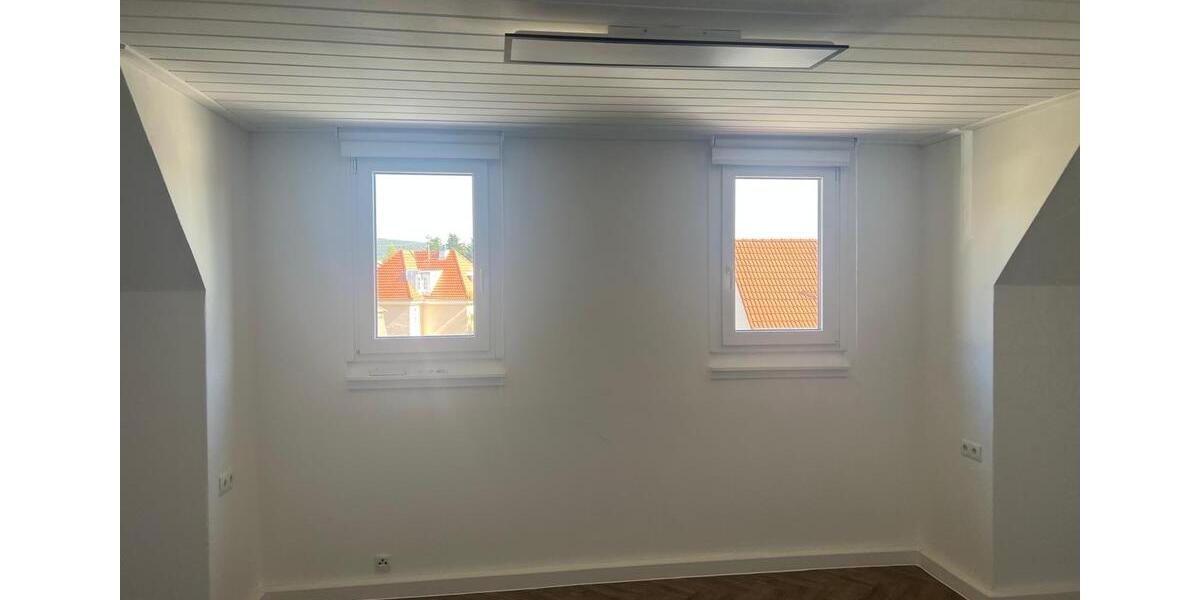 Dachgeschoss Wohnung in Neustadt an der Weinstraße 1.5 zimmer