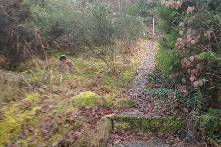 Vermietung EFH, 3ZKB, 90 qm, Raum Elmstein im Pfälzer Wald 3 zimmer