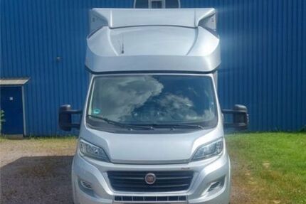 Fiat Ducato 313.000 km 22.999 € Pirmasens 66954