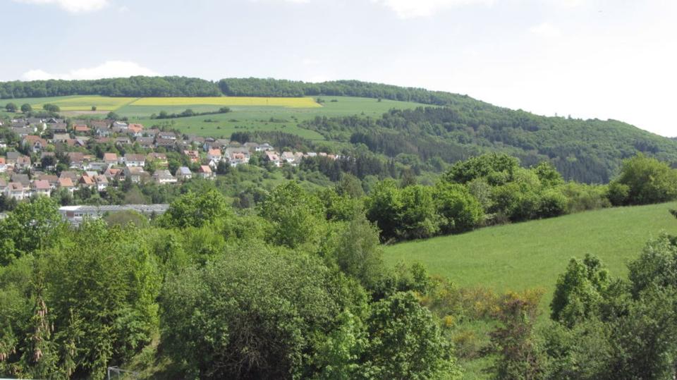 Schöne und helle 5,5-Zimmer-Wohnung in Rockenhausen 5.5 zimmer