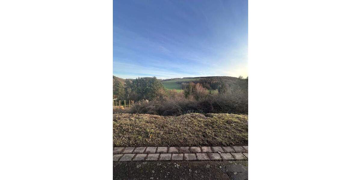 Grundstück Schiersfeld - 35.500&euro; | Angebot:25665551