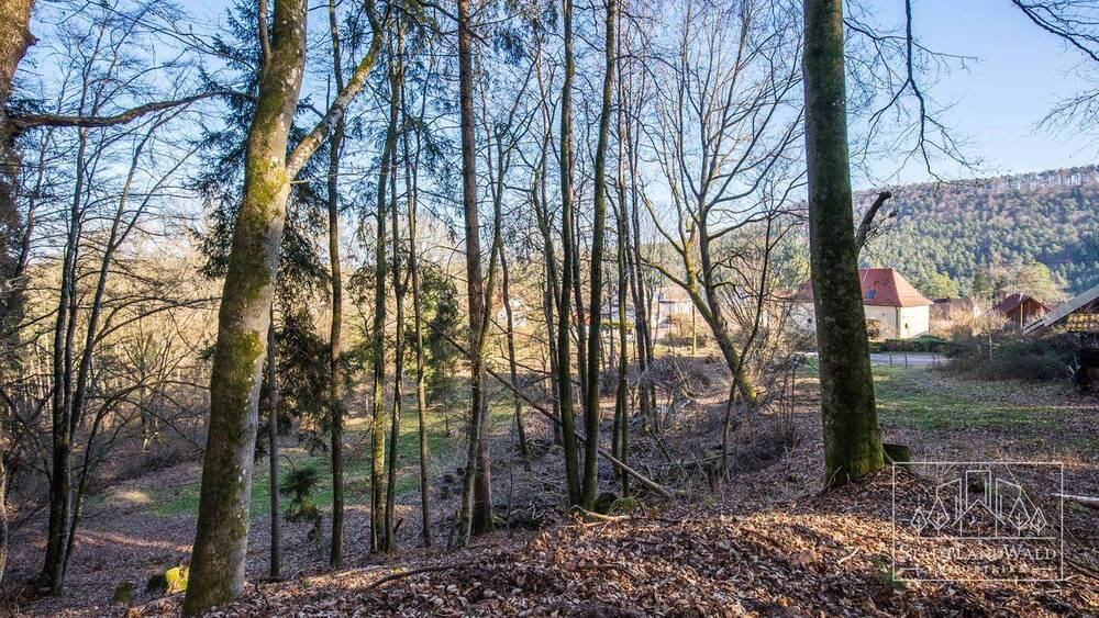 Grundstück Elmstein Schafhof - 165.000&euro; | Angebot:26155236