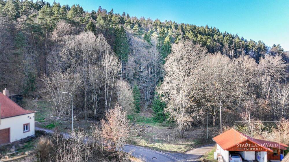 Grundstück Elmstein Schafhof - 165.000&euro; | Angebot:26155236