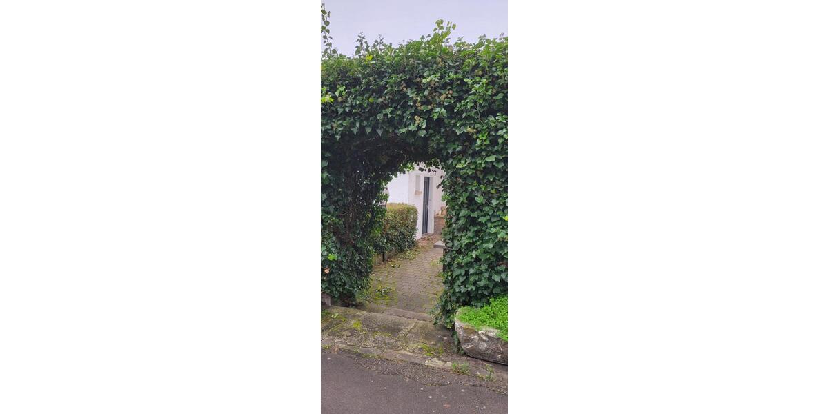 Bürofläche in ruhiger Lage zimmer