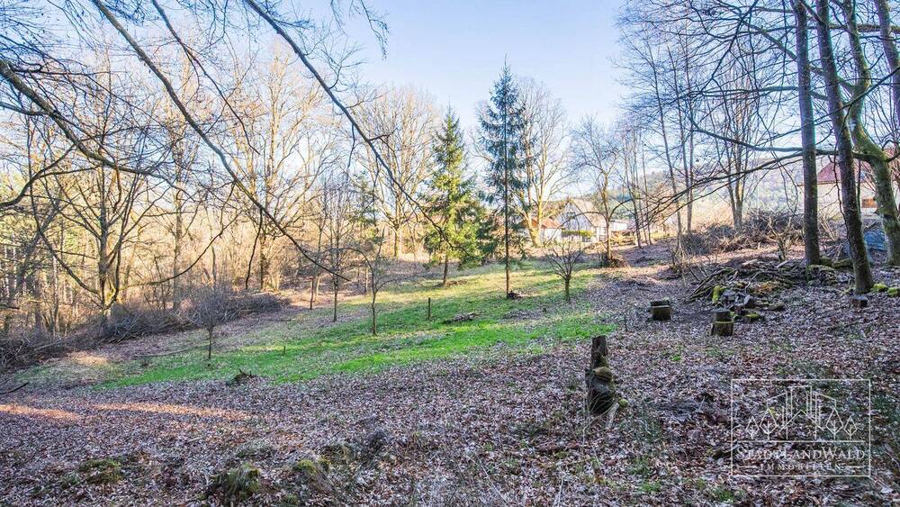 Grundstück Elmstein Schafhof - 165.000&euro; | Angebot:26155236