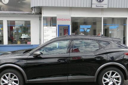 Cupra Formentor 17.800 km 28.998 &euro; Kaiserslautern 67655