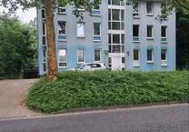 Dieses frisch renovierte Apartment wartet auf Sie...