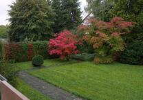 3 ZKBB Mannheim-Feudenheim, Feldrandlage