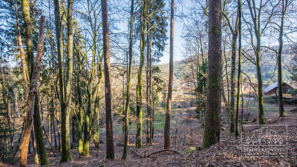 Grundstück Elmstein Schafhof - 165.000&euro; | Angebot:26155236