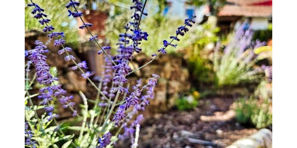 Reihenendhaus Odenbach - 1 Zimmer, 160 m&sup2;, 294.000&euro; | Angebot:25821878