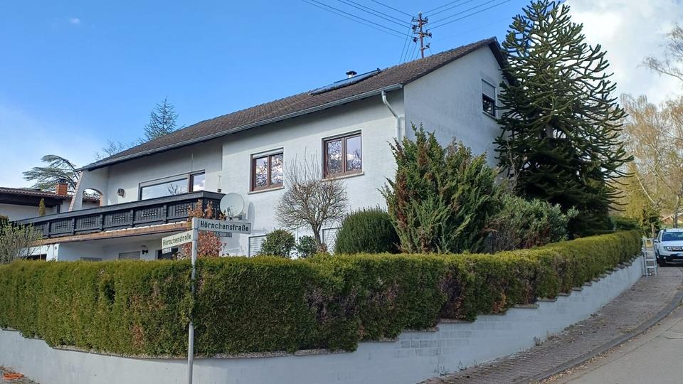 Erdgeschoßwohnung Mehlbach - 4 Zimmer, 161 m&sup2;, 1.300&euro; | Angebot:26300464