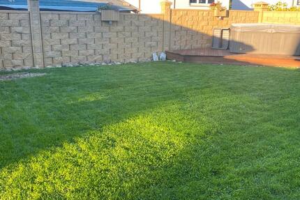 Wohnung Ramstein-Miesenbach Miesenbach - 1 Zimmer, 55 m&sup2;, 499&euro; | Angebot:25172374