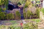 Provisionsfrei* Geräumiges Ein-Zweifamilienhaus mit großem Garten-provisionsfrei - Einfamilienhaus Ramsen | Angebot:25956602