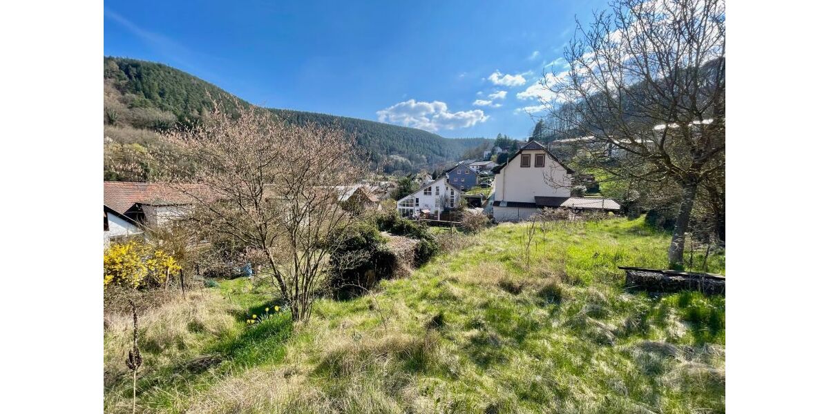 Provisionsfrei* Wunderschöne, komplett renovierte 140qm Altbauwohnung nahe Neustadt mit Garten - 5- Frankeneck | Angebot:25908495