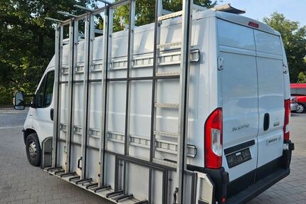 Fiat Ducato 294.379 km 8.600 &euro; Lachen-Speyerdorf 67435