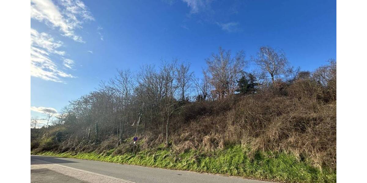 Grundstück Eisenberg (Pfalz) / Stauf Stauf - 199.000&euro; | Angebot:25684594