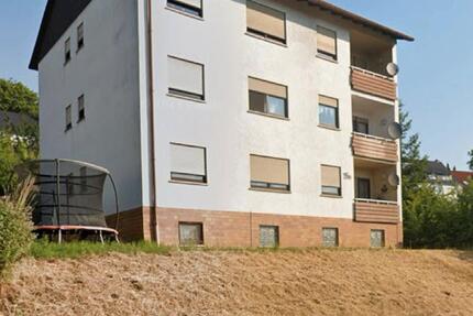 Mehrfamilienhaus mit Einliegerwohnung 12 zimmer