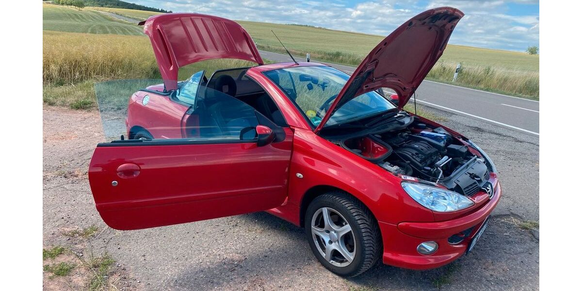 Peugeot 206 145.250 km 2.997 &euro; Weitersweiler 67808