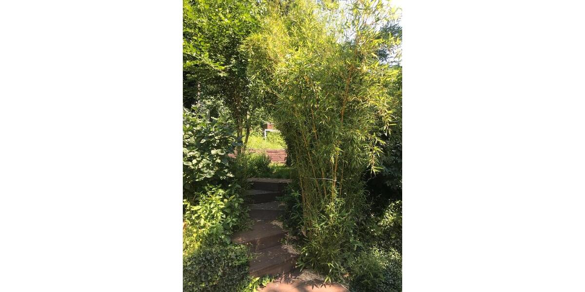 Doppelhaushälfte Mackenbach - 3 Zimmer, 120 m&sup2;, 1.350&euro; | Angebot:25968238