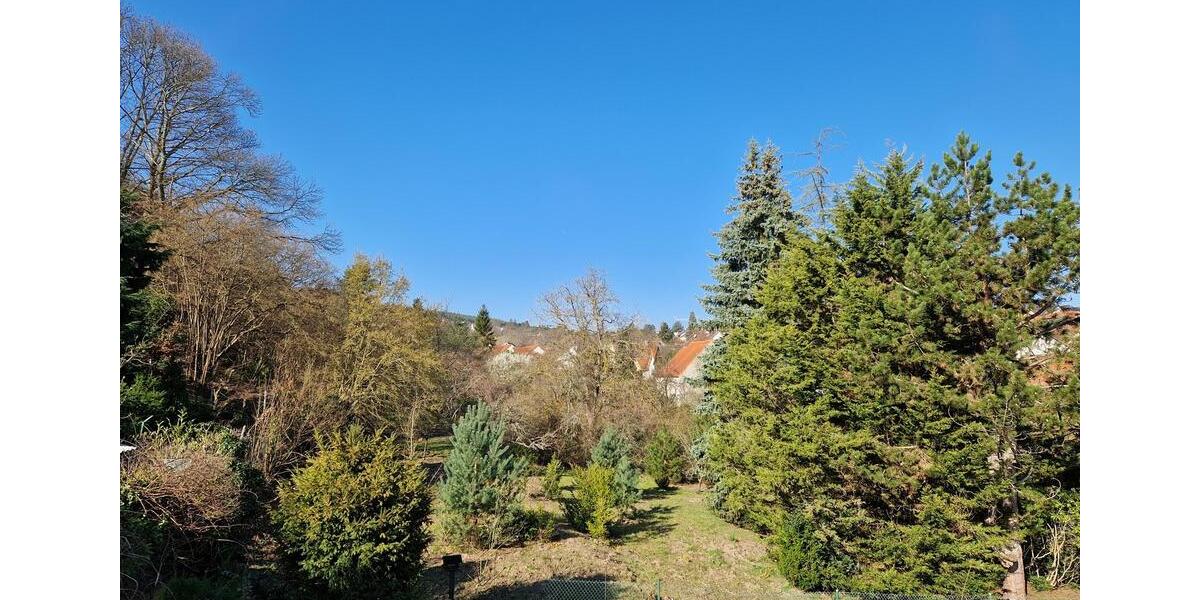 Maisonettenwohnung Bad Dürkheim - 5 Zimmer, 156 m&sup2;, 1.800&euro; | Angebot:25823193