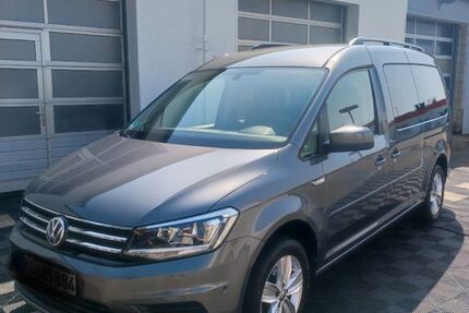 VW Caddy Maxi 81.000 km 23.800 € Hochspeyer 67691